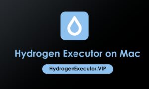 How to Download Hydrogen Executor on Mac